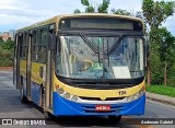 Trancid - Transporte Cidade de Divinópolis 198 na cidade de Divinópolis, Minas Gerais, Brasil, por Anderson Gabriel. Número da foto: #12291001.