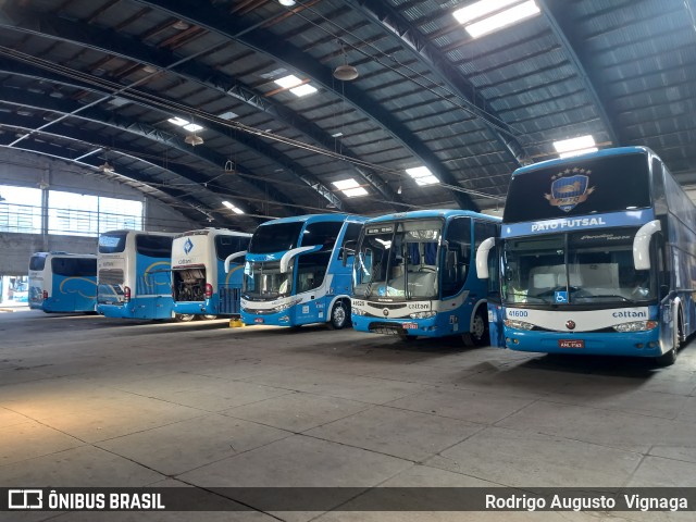 Cattani Sul Transportes e Turismo GARAGEM PATO BRANCO-PR na cidade de Pato Branco, Paraná, Brasil, por Rodrigo Augusto  Vignaga. Número da foto: #12221596.
