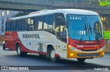 Rouxinol 2433 na cidade de Contagem, Minas Gerais, Brasil, por Rafael Cota. Número da foto: #12221978.