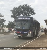 Transportes Capellini 19.085 na cidade de Nova Odessa, São Paulo, Brasil, por Fred Sposito. Número da foto: #12224294.