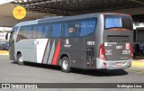 Transportes Capellini 15011 na cidade de Nova Odessa, São Paulo, Brasil, por Wellington Lima. Número da foto: #12226275.