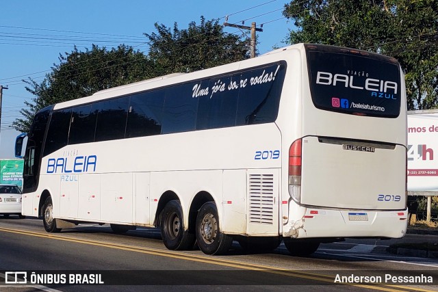Baleia Turismo 2019 na cidade de Campos dos Goytacazes, Rio de Janeiro, Brasil, por Anderson Pessanha. Número da foto: #12230672.