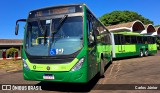 Metrobus 1201 na cidade de Goiânia, Goiás, Brasil, por Carlos Júnior. Número da foto: #12230629.