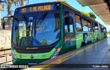 Metrobus 1202 na cidade de Goiânia, Goiás, Brasil, por Carlos Júnior. Número da foto: #12230572.