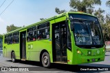 Sistema de Movilidad M1 > RTP - Red de Transporte de Pasajeros de la Ciudad de México 1731 na cidade de Gustavo A. Madero, Ciudad de México, México, por Omar Ramírez Thor2102. Número da foto: #12230501.