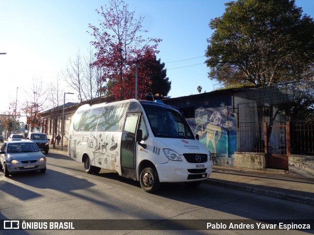 Viajes Rutacruz 02 na cidade de Santa Cruz, Colchagua, Libertador General Bernardo O'Higgins, Chile, por Pablo Andres Yavar Espinoza. Número da foto: #12233690.