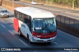 Rouxinol 2033 na cidade de Betim, Minas Gerais, Brasil, por Rodrigo Barraza. Número da foto: #:id.