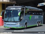 Pássaro Verde 24186 na cidade de Belo Horizonte, Minas Gerais, Brasil, por Athos Arruda. Número da foto: #:id.