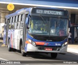 Transportes Capellini 19.185 na cidade de Americana, São Paulo, Brasil, por Wellington Lima. Número da foto: #12231651.