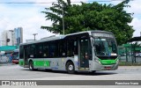 Viação Santa Brígida 1 1733 na cidade de São Paulo, São Paulo, Brasil, por Francisco Ivano. Número da foto: #12233332.