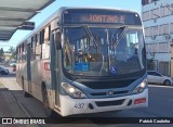 Laranjal Transportes 437 na cidade de Pelotas, Rio Grande do Sul, Brasil, por Patrick Coutinho. Número da foto: #:id.