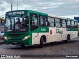 OT Trans - Ótima Salvador Transportes 21084 na cidade de Salvador, Bahia, Brasil, por Silas Azevedo. Número da foto: #:id.