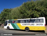 Empresa Gontijo de Transportes 3175 na cidade de Belo Horizonte, Minas Gerais, Brasil, por Maurício Nascimento. Número da foto: #12231583.