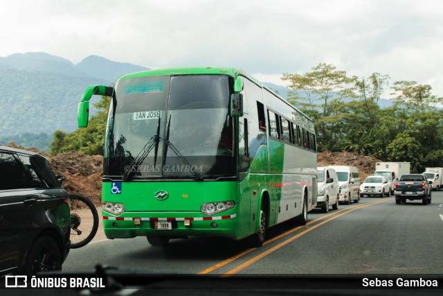 Caribeños 71 na cidade de San José, Costa Rica, por Sebas Gamboa. Número da foto: #12294342.