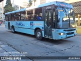 Transcal Sul Transportes Coletivos 24114 na cidade de Porto Alegre, Rio Grande do Sul, Brasil, por JULIO SILVA. Número da foto: #12293533.