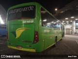 Pássaro Verde 19168 na cidade de Belo Horizonte, Minas Gerais, Brasil, por Jean Peter. Número da foto: #:id.