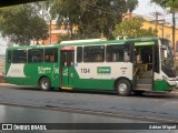 Viação Paraense Cuiabá Transportes 1134 na cidade de Cuiabá, Mato Grosso, Brasil, por Adrian Miguel. Número da foto: #12318272.
