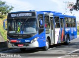 Transportes Capellini 19.131 na cidade de Campinas, São Paulo, Brasil, por Danilo Augusto. Número da foto: #12318348.