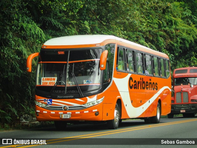 Caribeños 00 na cidade de San José, Costa Rica, por Sebas Gamboa. Número da foto: #12321540.