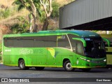 Pássaro Verde 19156 na cidade de Ponte Nova, Minas Gerais, Brasil, por Davi Neves. Número da foto: #12322069.