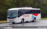 Turismo Pavão 20202 na cidade de Araçariguama, São Paulo, Brasil, por Guilherme Arruda. Número da foto: #:id.