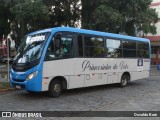 Princesinha do Vale 222353 na cidade de Resende, Rio de Janeiro, Brasil, por Osvaldo Born. Número da foto: #:id.