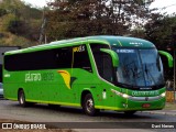 Pássaro Verde 16911 na cidade de Ponte Nova, Minas Gerais, Brasil, por Davi Neves. Número da foto: #12322085.