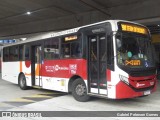 Auto Viação Palmares D17078 na cidade de Rio de Janeiro, Rio de Janeiro, Brasil, por Gabriel Petersen Gomes. Número da foto: #12321478.