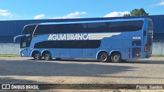 Viação Águia Branca 50530 na cidade de Cruz das Almas, Bahia, Brasil, por Flávio  Santos. Número da foto: #12323294.