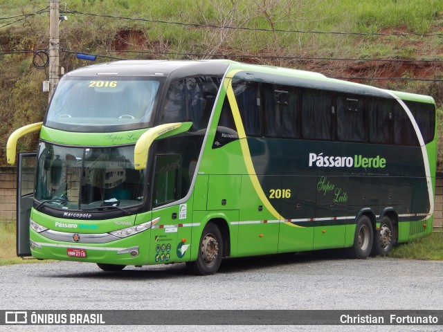 Pássaro Verde 2016 na cidade de Viçosa, Minas Gerais, Brasil, por Christian  Fortunato. Número da foto: #12324524.