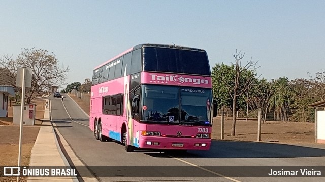 Tailongo Transporte e Locações 1703 na cidade de São José da Lapa, Minas Gerais, Brasil, por Josimar Vieira. Número da foto: #12323557.