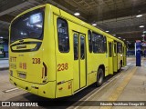 Empresa de Transportes e Turismo Carapicuiba 238 na cidade de Santana de Parnaíba, São Paulo, Brasil, por Eduardo Yoshiharu Onaga Mi. Número da foto: #12323206.