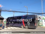 Andimar 319 na cidade de Santa Cruz, Colchagua, Libertador General Bernardo O'Higgins, Chile, por Pablo Andres Yavar Espinoza. Número da foto: #12324365.