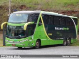 Pássaro Verde 2016 na cidade de Viçosa, Minas Gerais, Brasil, por Christian  Fortunato. Número da foto: #:id.