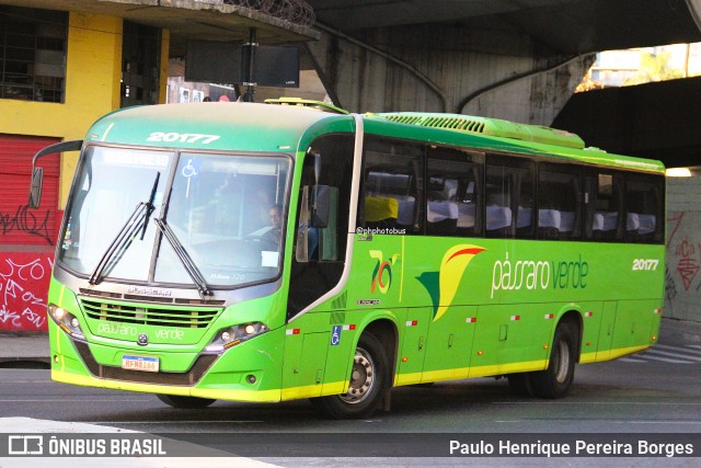 Pássaro Verde 20177 na cidade de Belo Horizonte, Minas Gerais, Brasil, por Paulo Henrique Pereira Borges. Número da foto: #12326887.
