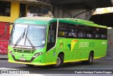 Pássaro Verde 20177 na cidade de Belo Horizonte, Minas Gerais, Brasil, por Paulo Henrique Pereira Borges. Número da foto: #:id.