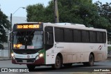 Grupo Bene S.A. - Línea 11 56 na cidade de Asunción, Paraguai, por José Paredes. Número da foto: #12325850.
