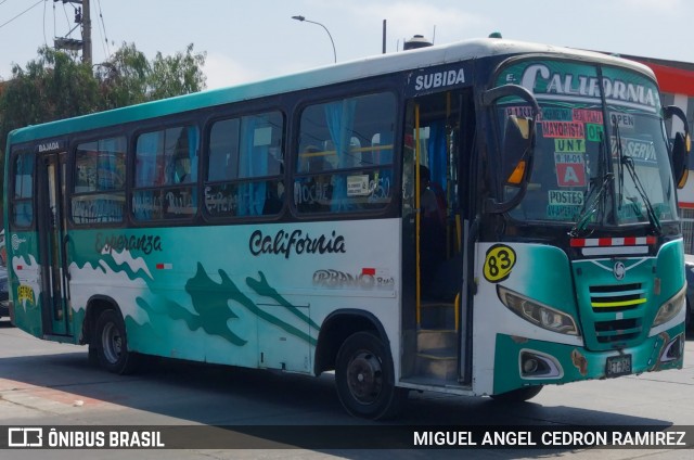 Empresa de Transportes Califórnia S.A 83 na cidade de Trujillo, Trujillo, La Libertad, Peru, por MIGUEL ANGEL CEDRON RAMIREZ. Número da foto: #12327692.