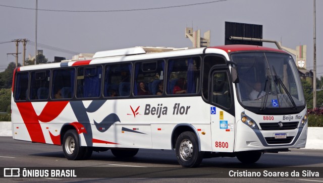 Beija Flor Turismo 8800 na cidade de São Paulo, São Paulo, Brasil, por Cristiano Soares da Silva. Número da foto: #12329468.