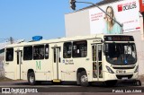 Auto Viação São José dos Pinhais 17M01 na cidade de Curitiba, Paraná, Brasil, por Patrick  Luis Aifeld. Número da foto: #12329736.