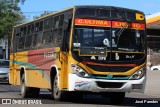 TLGSA - Transporte Loma Grande S.A. - Línea 132 > Transporte LomaGrandense S.A. 08 na cidade de San Lorenzo, Central, Paraguai, por José Paredes. Número da foto: #12328536.