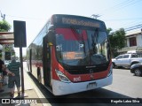 STU Santiago Transporte Urbano LDJJ71 na cidade de Puente Alto, Cordillera, Metropolitana de Santiago, Chile, por Rogelio Labra Silva. Número da foto: #12329978.