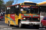 TLGSA - Transporte Loma Grande S.A. - Línea 132 > Transporte LomaGrandense S.A. 056 na cidade de San Lorenzo, Central, Paraguai, por José Paredes. Número da foto: #:id.