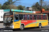 TLGSA - Transporte Loma Grande S.A. - Línea 132 > Transporte LomaGrandense S.A. 1274 na cidade de San Lorenzo, Central, Paraguai, por José Paredes. Número da foto: #12328716.