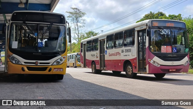 Guajará AI-30608 na cidade de Belém, Pará, Brasil, por Samara Goes. Número da foto: #12331316.