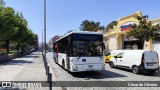 TUB - Transportes Urbanos Braga 222 na cidade de Braga, Braga, Portugal, por César de Oliveira. Número da foto: #12331638.