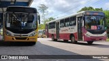 Guajará AI-30608 na cidade de Belém, Pará, Brasil, por Samara Goes. Número da foto: #12331316.