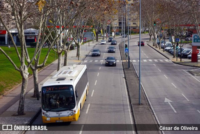 SMTUC - Serviços Municipalizados de Transportes Urbanos de Coimbra 291 na cidade de Coimbra, Coimbra, Portugal, por César de Oliveira. Número da foto: #12333262.