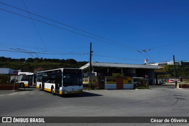 SMTUC - Serviços Municipalizados de Transportes Urbanos de Coimbra 265 na cidade de Coimbra, Coimbra, Portugal, por César de Oliveira. Número da foto: #12333527.