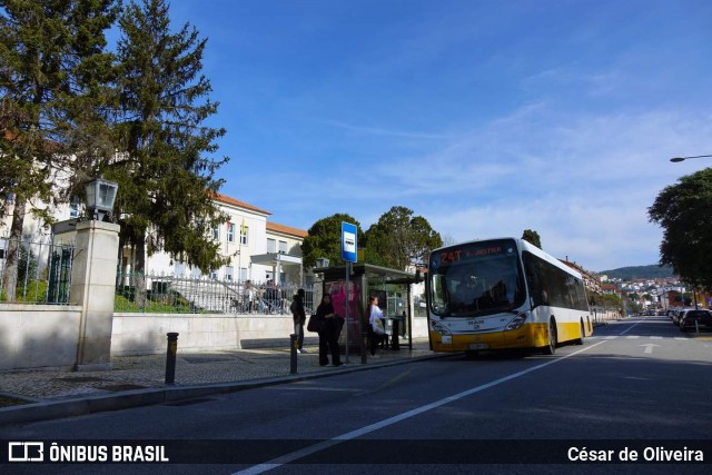SMTUC - Serviços Municipalizados de Transportes Urbanos de Coimbra 291 na cidade de Coimbra, Coimbra, Portugal, por César de Oliveira. Número da foto: #12333255.